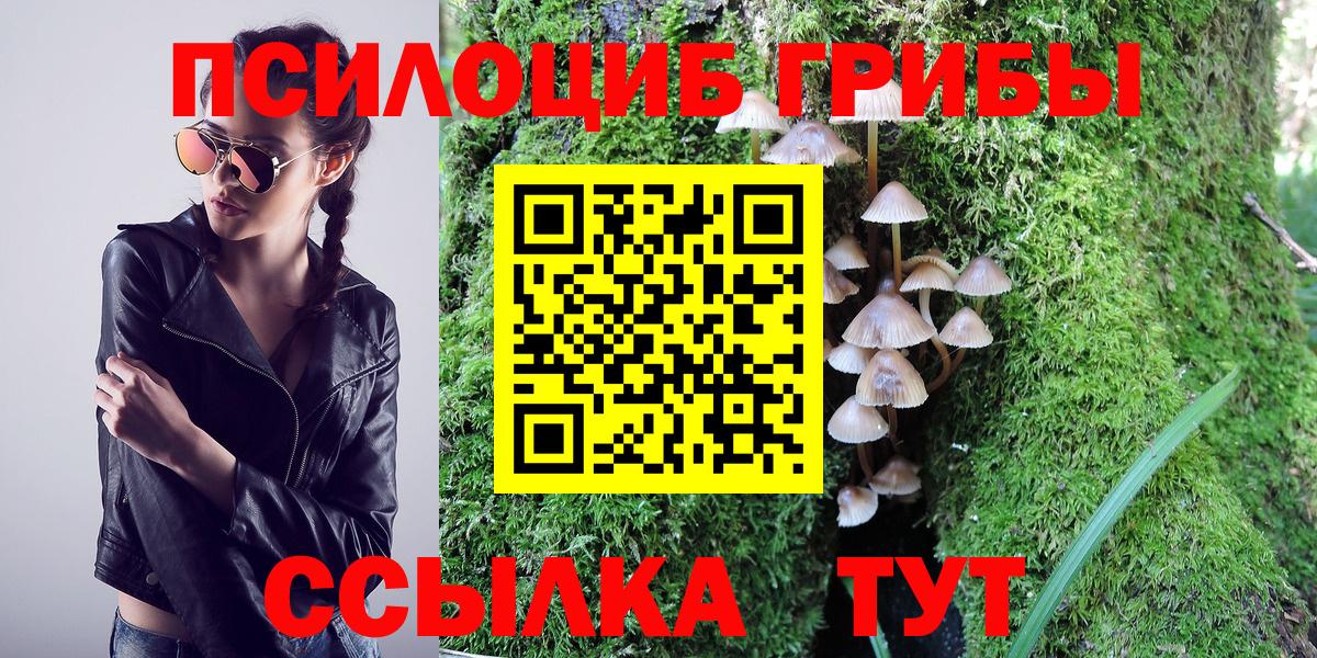 Псилоцибиновые грибы мицелий  Вход с VPN  Мичуринск 