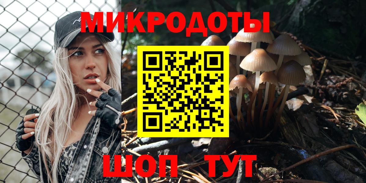 Галлюциногенные грибы прущие грибы Мичуринск